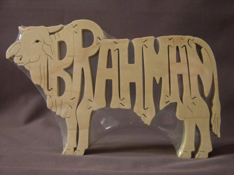 Wood Brahman Puzzles For Sale